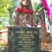 bolan_feature