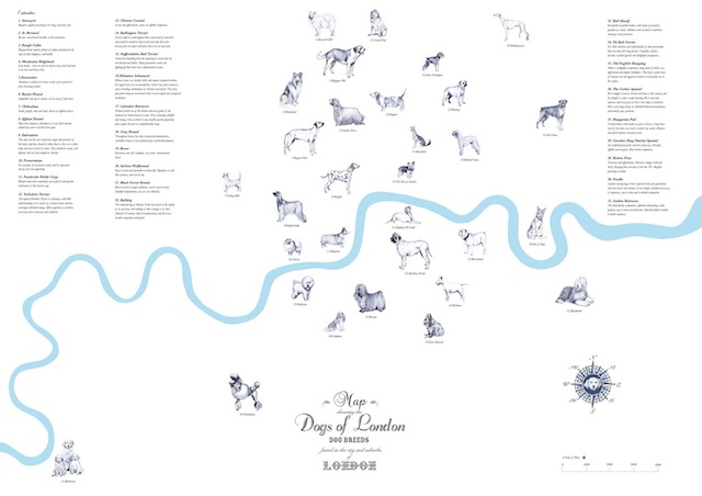 dogmap3p
