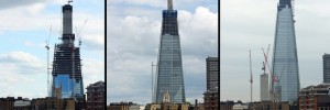 shard_tryp