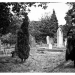 Strolling in West Norwood cemetery by Viramati
