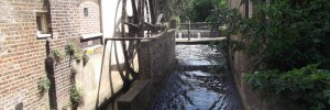The Wandle, one of London's other rivers.