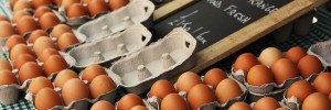 Fresh eggs by Stephskismo