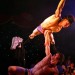 The English Gents in La Soiree._320x480