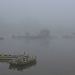 fog Strand on the Green, Chiswick by Ian Wylie