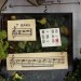 Can you read a Grupat score?