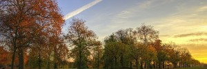 kensington_gardens_sunset2