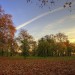 kensington_gardens_sunset2