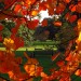 kew_autumn
