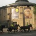 roundhouse