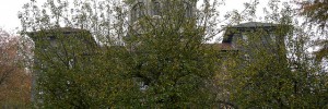 stjosephsorchard_291111