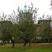 stjosephsorchard_291111