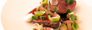 venison