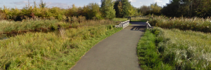 wetlandgoogle