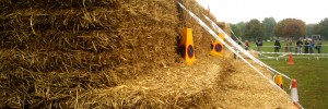 Hay Bales Coming To Battersea