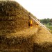Hay Bales Coming To Battersea