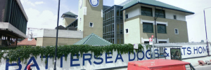 Image from Google Street View.