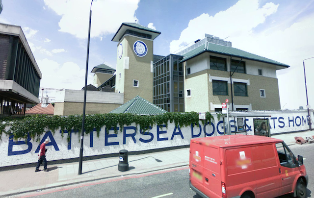 batterseadogs