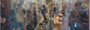 Display case at V&A by McTumshie