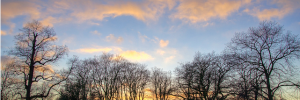 December sunset over Kensington Gardens this evening by Yorkshire Stacked
