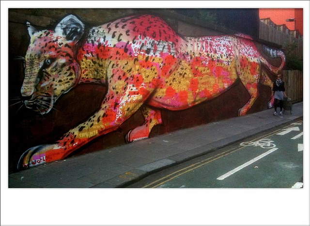 1201_cheetah