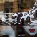 How much is that body in the window? by Bradman334