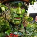 The Holly Man