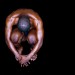 Maliphant Dance Company, Rodin - photo by Charlotte MacMillan