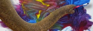 Art By Animals: At the Grant Museum from Wednesday.