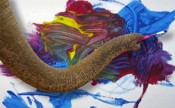 artbyanimals