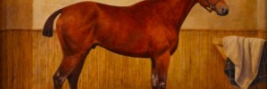 warhorse_120112