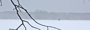 0602g.ee