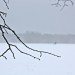 0602g.ee