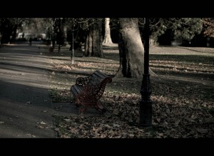 Battersea Park in evening light, by IoanWilliams
