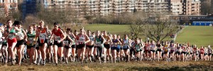 Watch cross country running on Hampstead Heath on Saturday / Photo by Clive.N Totman