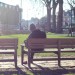 Enjoying the winter sun by Tim Woodall