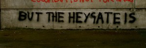 SONY DSC