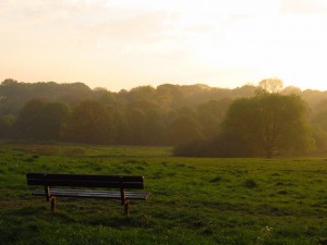 Hampsted Heath nice and early, by Laura Nolte