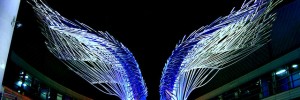 angelwings