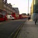 busline1 busline1
