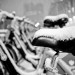 Snow on the seats of Boris Bikes
