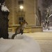 A fox in London's snow