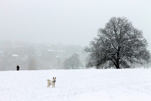 london_snow_hampstead_heath