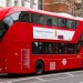 newbus_main newbus_main