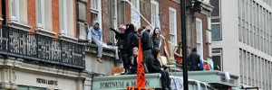 occupied pic