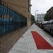 red carpet red carpet