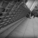 roughsleeper roughsleeper
