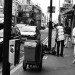 stokey_030212