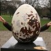 Go egg hunting!
