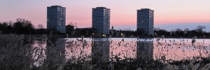 The East Reservoir in Hackney at dawn.  Photo by Helen Babbs