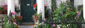 Prescila Bisa's Notting Hill home in bloom